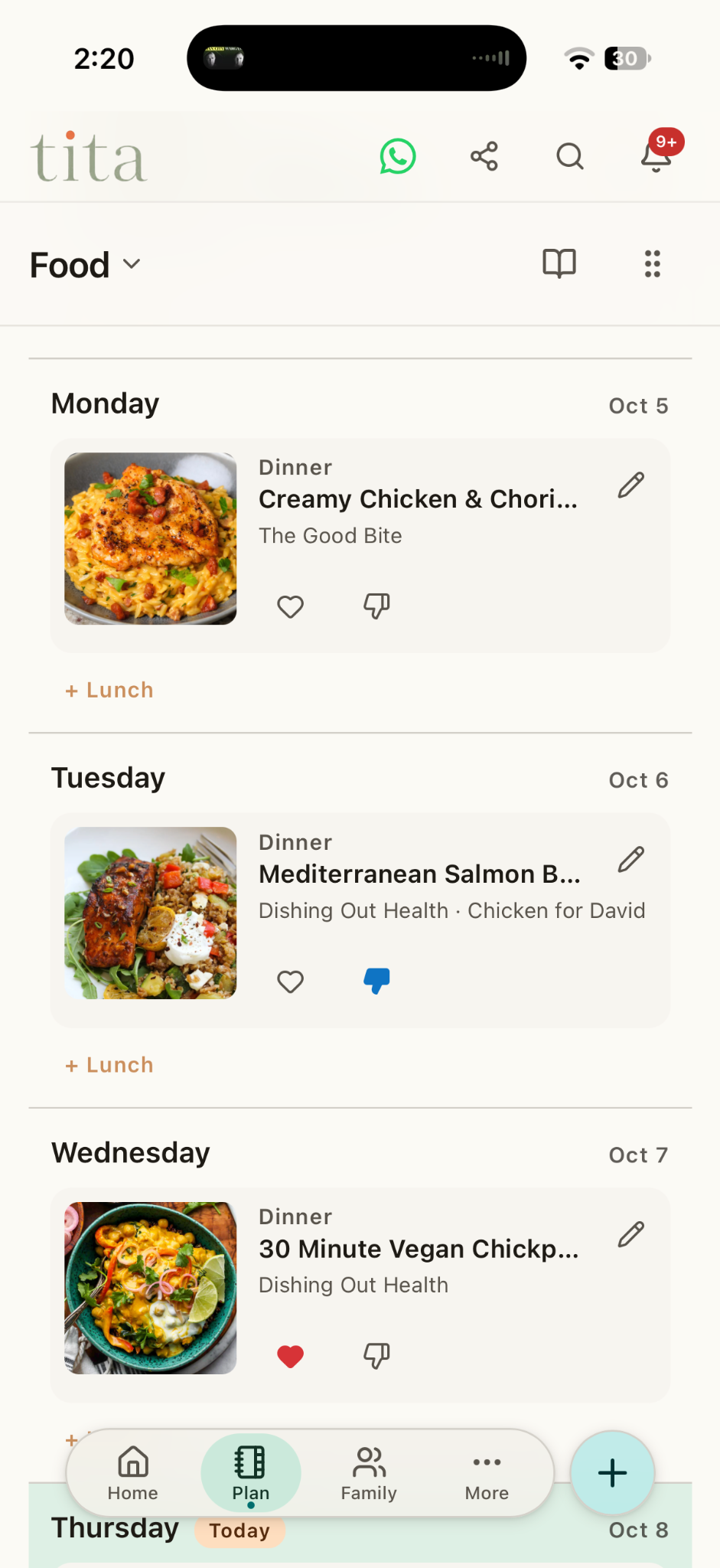 Tita Adult Food screen